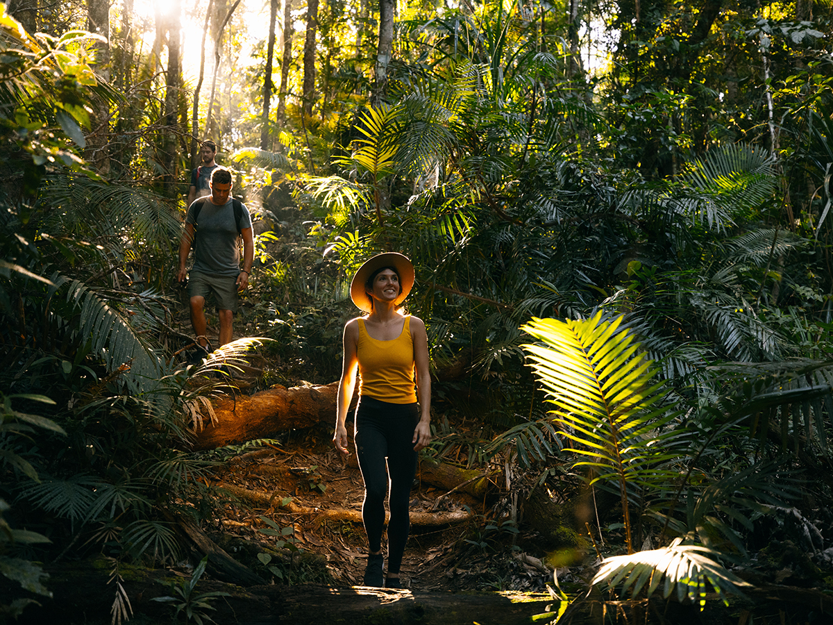  A group of people walking along a narrow trail through a dense tropical rainforest